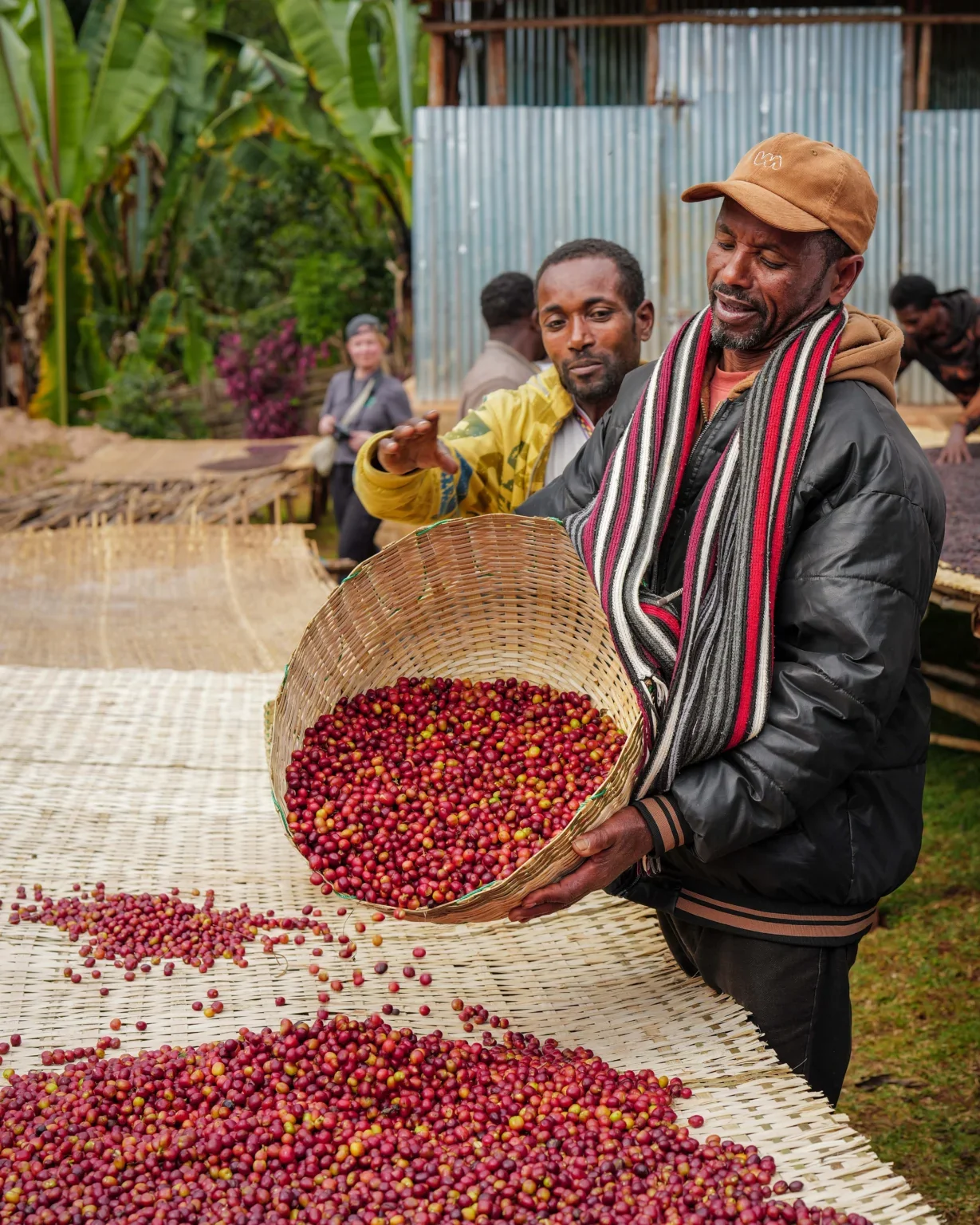 Ethiopia | Kebede Wako - Image 5