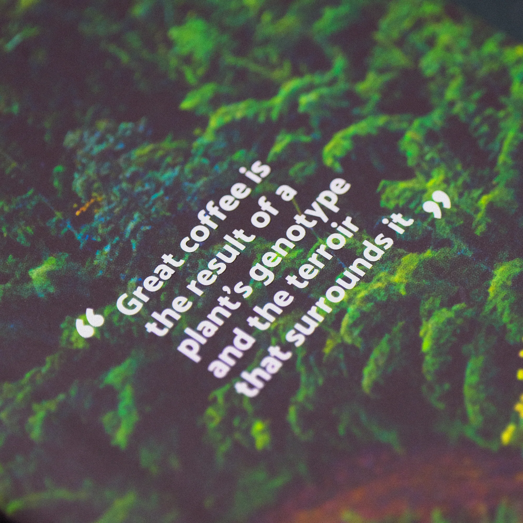 Terrior: Coffee From Seed To Harvest - Image 4