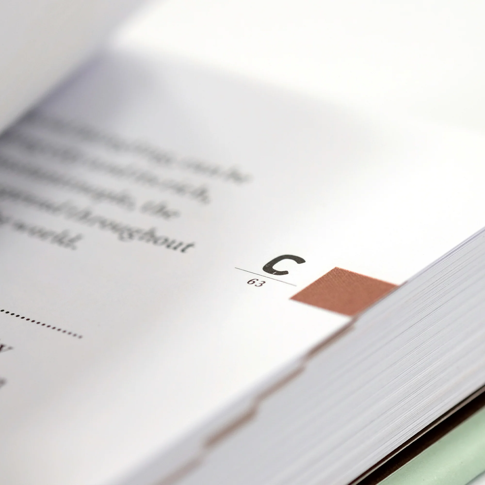 The Coffee Dictionary - Image 16