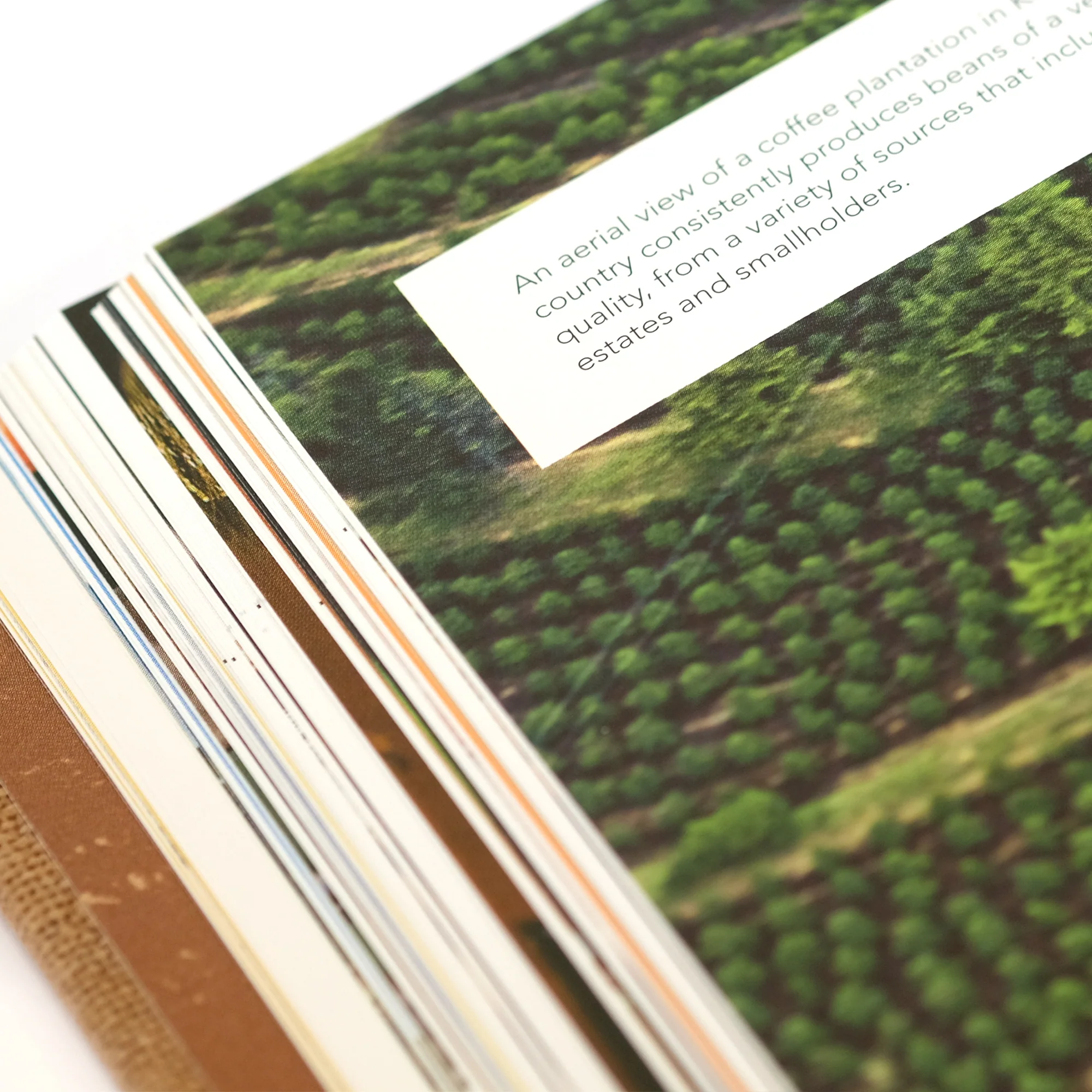 The World Atlas of Coffee - Image 8